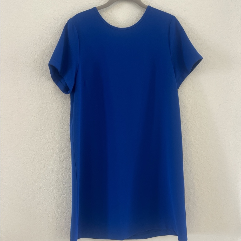 Felicity & Coco Women's Dresses in Blue, Green, and Purple